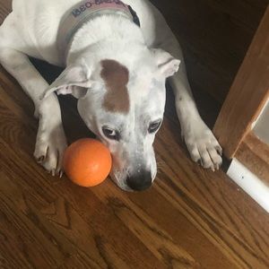 Meet your Posher, Jon